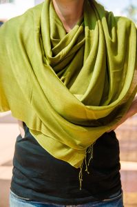 Dark pistachio pashmina wool shawl