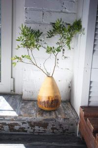 Дерев'яна деревяна ваза з корою