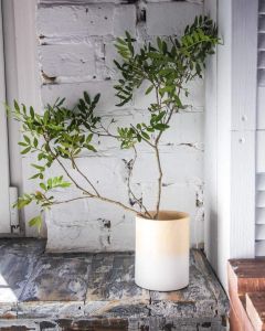 Біло-коричнева дерев'яна ваза