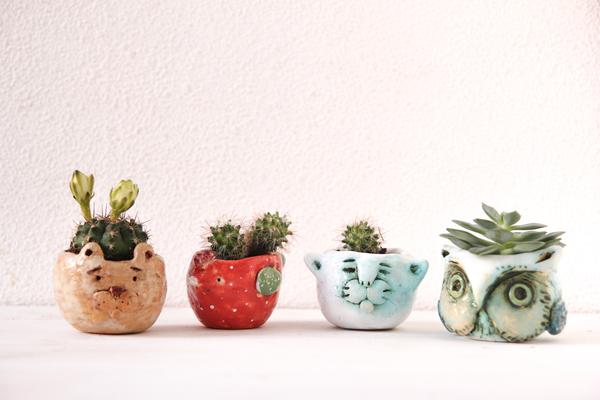 succulent pots with cute animals